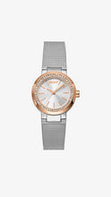 Load image into Gallery viewer, DKNY Ladies Watch
